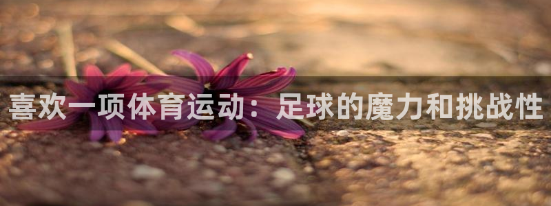oety欧亿体育官网下载娱乐：喜欢一项体育运动：足球的魔力和