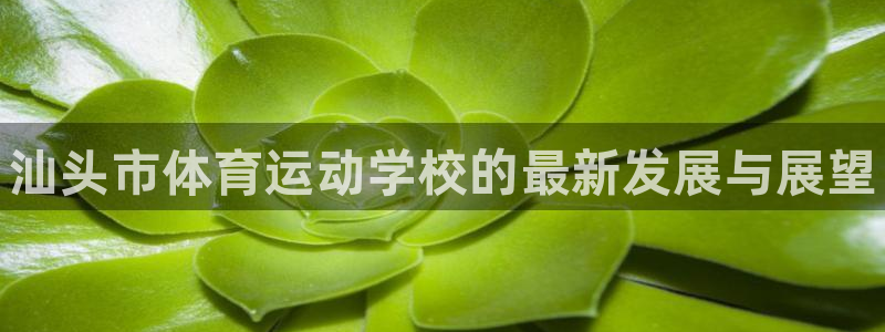 欧亿体育官方正版app代理：汕头市体育运动学校的最新发展与展