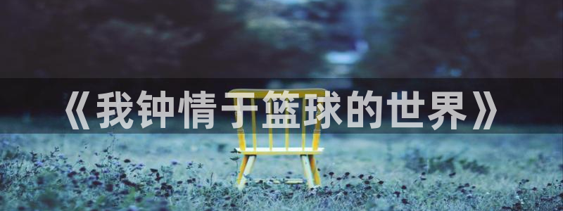 欧亿体育官方正版app娱乐40996：《我钟情于篮球的世界》