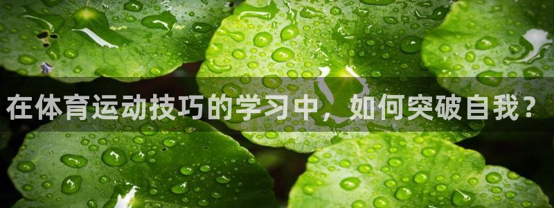 oety欧亿体育官网下载招商电话地址查询