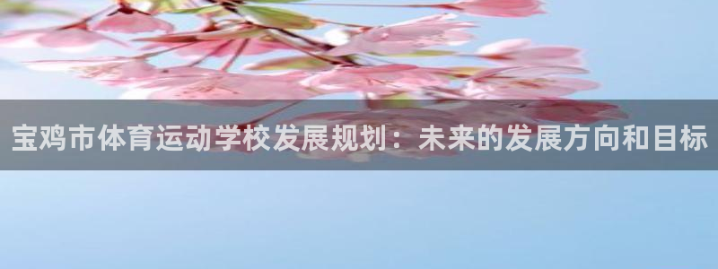 oety欧亿体育官网下载平台：宝鸡市体育运动学校发展规划：未