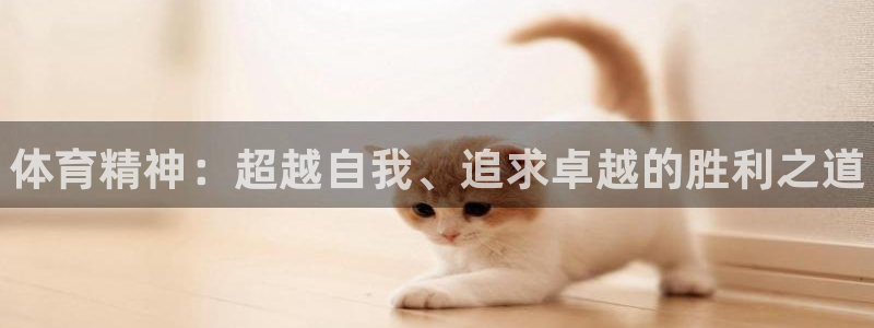 oety欧亿体育官网下载招商：体育精神：超越自我、追求卓越的