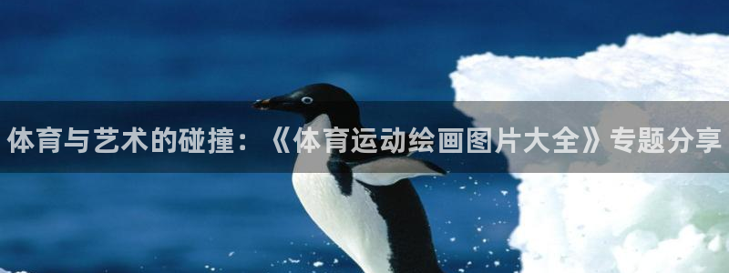 欧亿体育官方正版app代理