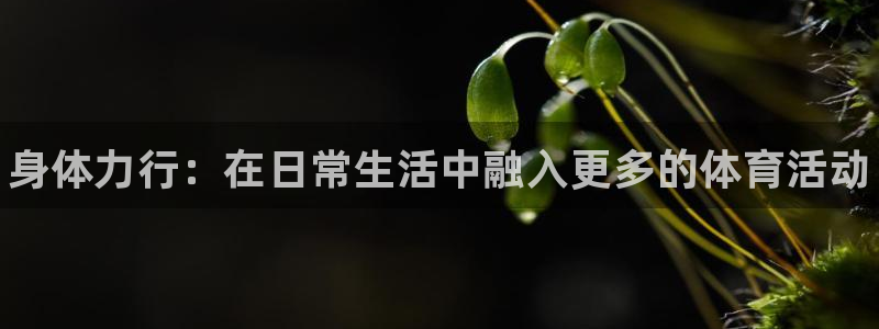 oety欧亿体育官网下载官方客服电话