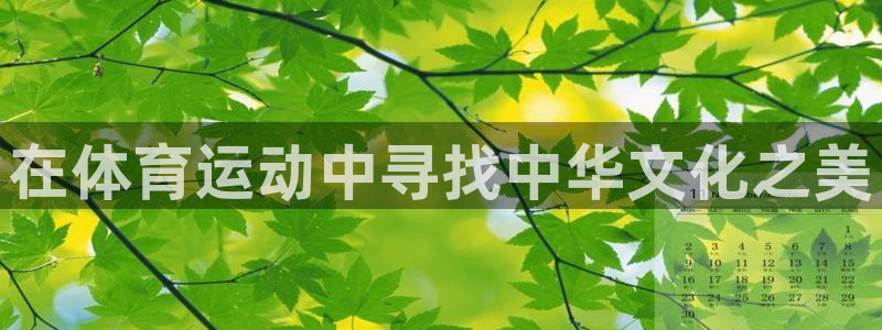 欧亿体育官方正版app娱乐40996：在体育运动中寻找中华文