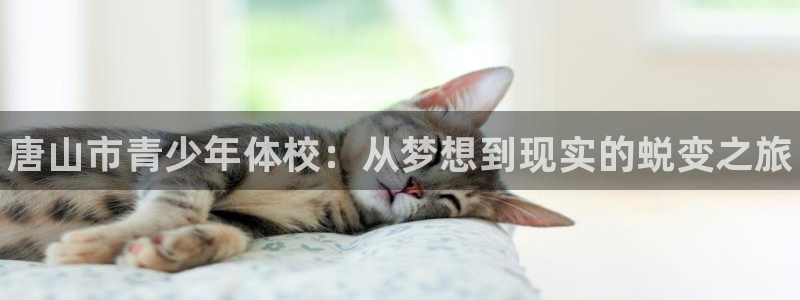 oety欧亿体育官网下载招商电话是多少啊：唐山市青少年体校：