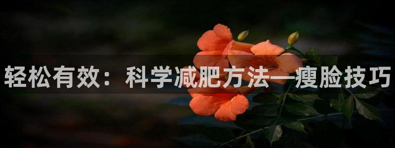 oety欧亿体育官网下载招商电话地址查询：轻松有效：