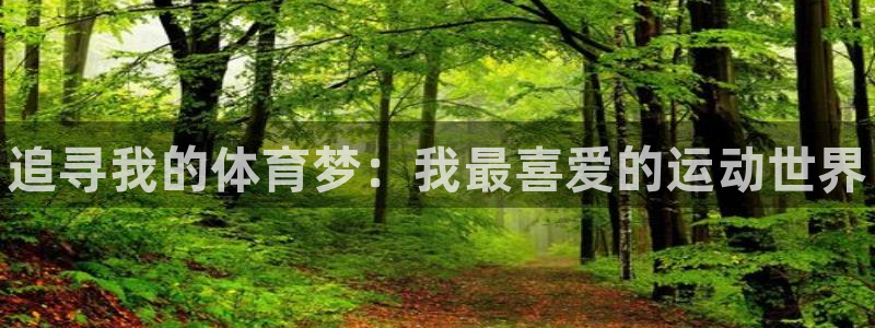 欧亿体育官方正版app娱乐：追寻我的体育梦：我最喜爱