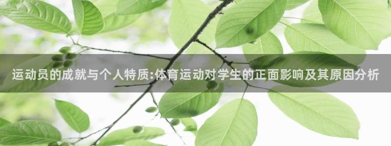 海南oety欧亿体育官网下载：运动员的成就与个人特质