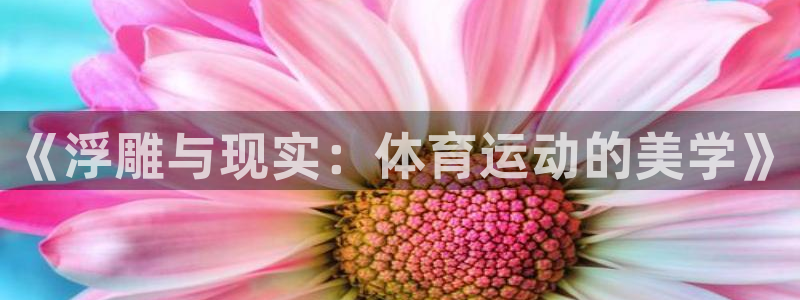 oety欧亿体育官网下载平台注册要钱吗：《浮雕与现实