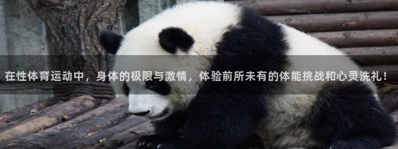 欧亿体育官方正版app神州：在性体育运动中，身体的极