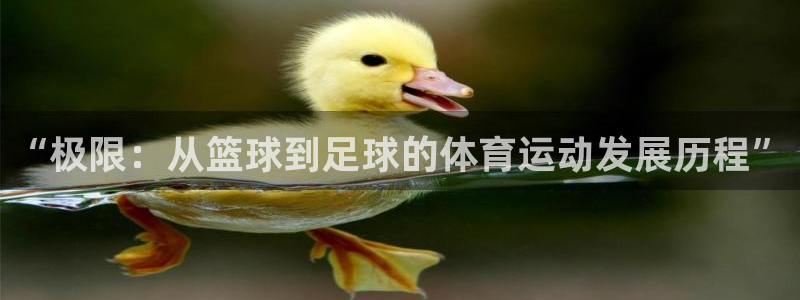欧亿体育官方正版app神州：“极限：从篮球到足球的体