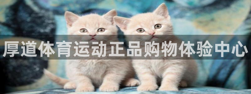 欧亿体育官方正版app娱乐下载：厚道体育运动正品购物