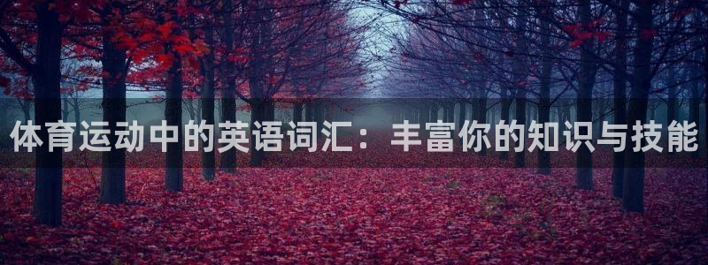 注册欧亿体育官方正版app：体育运动中的英语词汇：丰