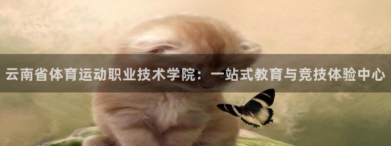 oety欧亿体育官网下载软件：云南省体育运动职业技术