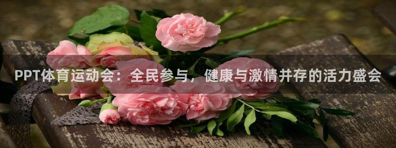 oety欧亿体育官网下载招商电话号码查询：PPT体育