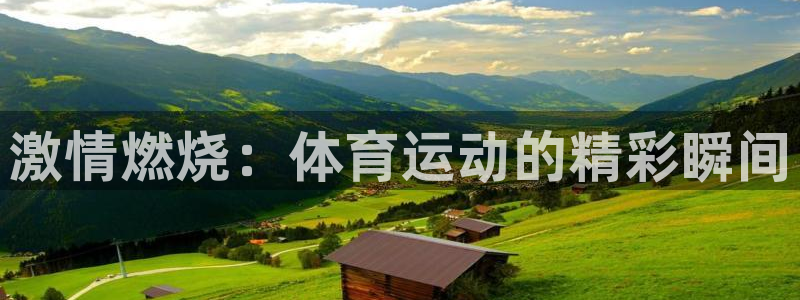 欧亿体育官方正版app代理：激情燃烧：体育运动的精彩瞬间