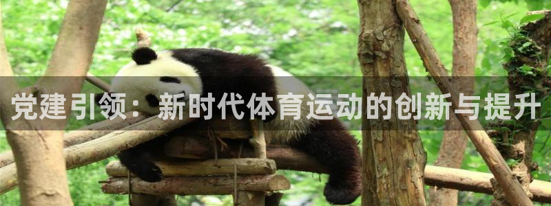 欧亿体育官方正版app新能源：党建引领：新时代体育运动的创新