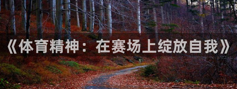 欧亿体育官方正版app娱乐代理怎么样：《体育精神：在赛场上绽