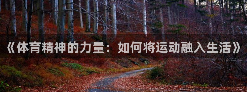 海南oety欧亿体育官网下载：《体育精神的力量：如何将运动融