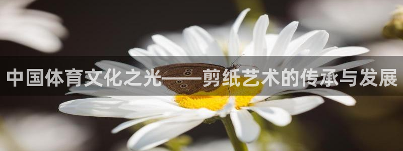 欧亿体育官方正版app官方：中国体育文化之光——剪纸艺术的传