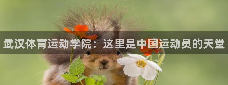 欧亿体育官方正版app集团简介：武汉体育运动学院：这