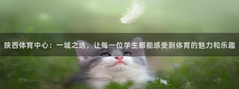 oety欧亿体育官网下载平台注册流程视频：陕西体育中