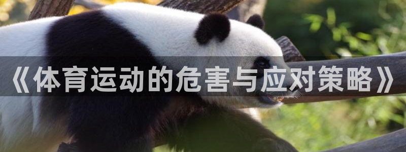 oety欧亿体育官网下载招商电话地址查询：《体育运动