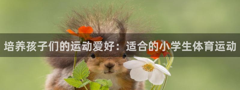 oety欧亿体育官网下载平台APP：培养孩子们的运动爱好：适