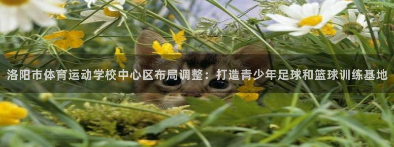 oety欧亿体育官网下载平台假的吗是真的吗：洛阳市体育运动学